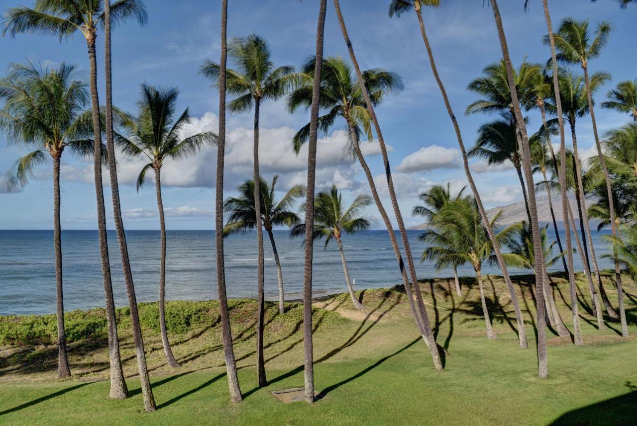 Hale Kai O'Kihei 309 아파트 외부 사진